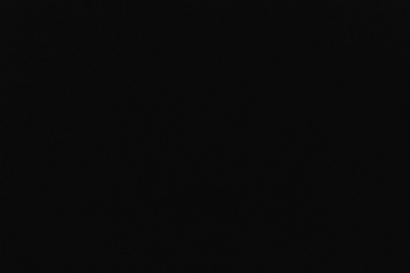 IMAGEN COMPLETAMENTE NEGRA